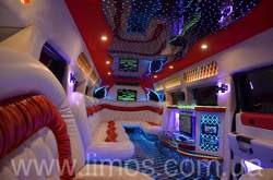 limo party